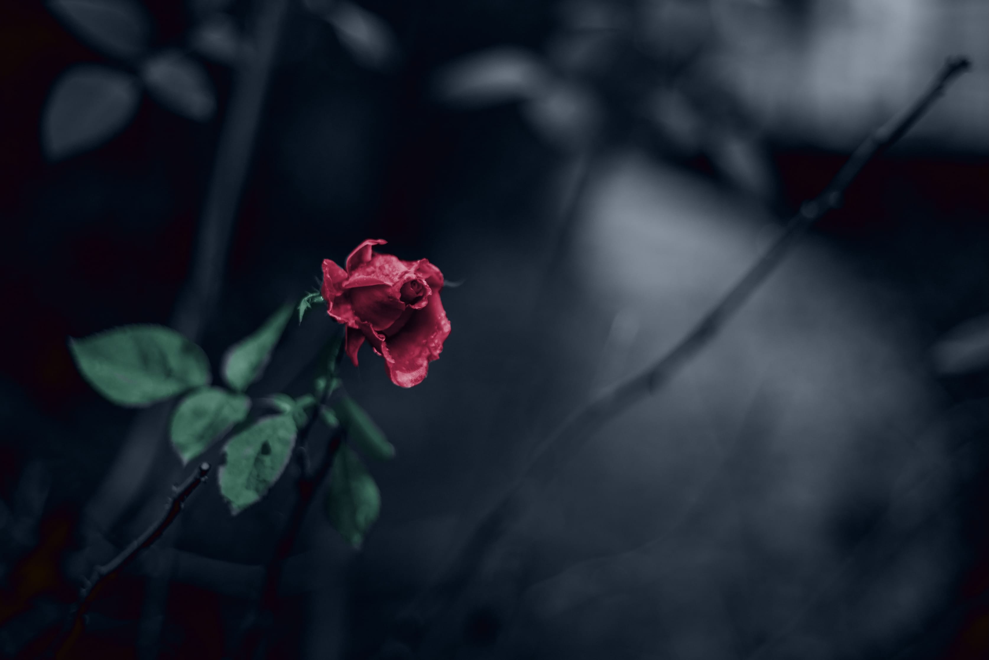 Rund um Schloss Sayn